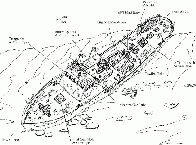 futagami