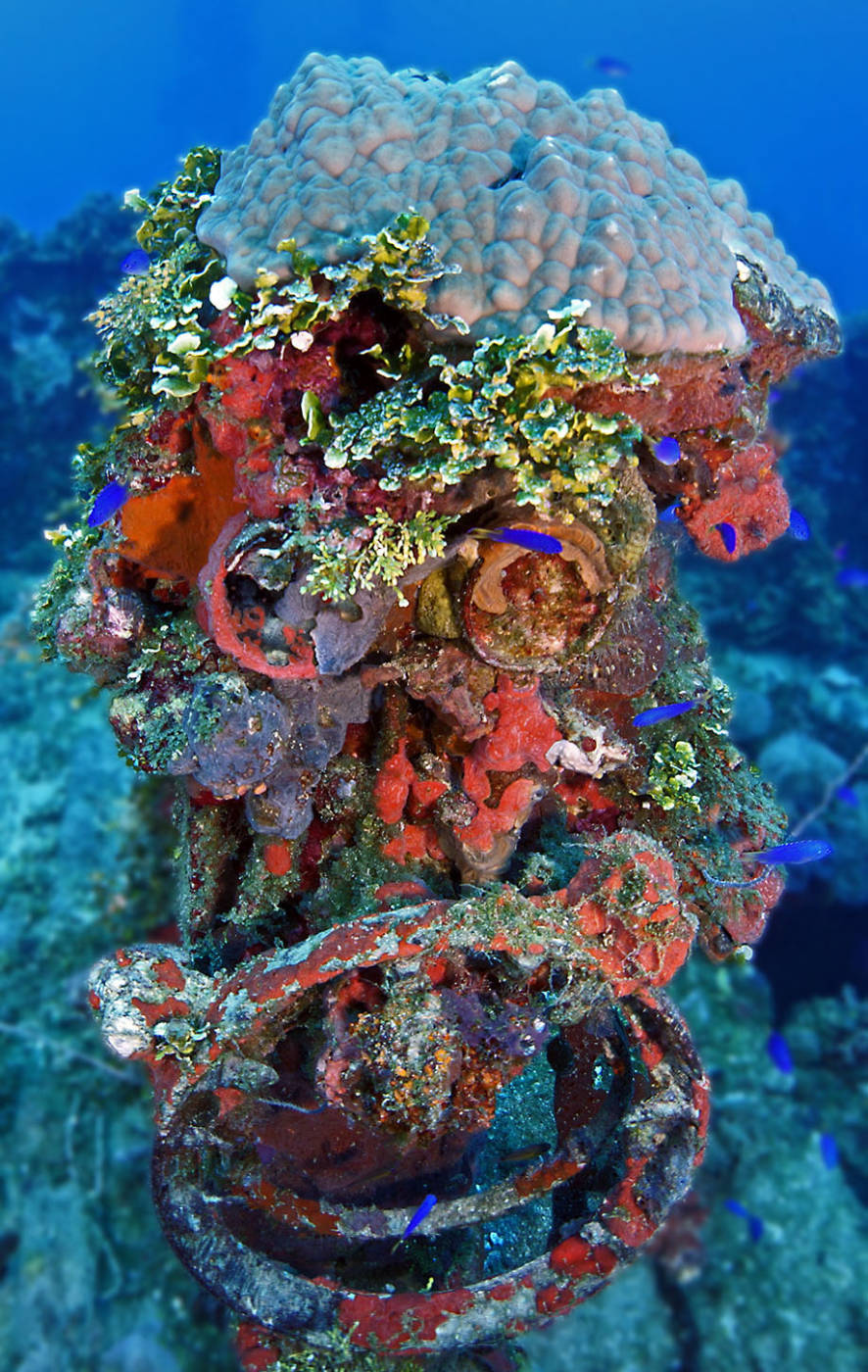 The Steering Binnacle on Seiko Maru Wreck Truk Lagoon