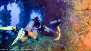 Dive Diary: Seiko Maru – SS Thorfinn