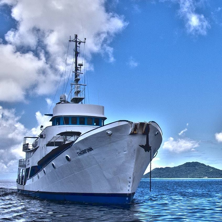 SS Thorfinn — vessel photograph