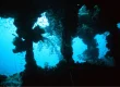 hoyo maru