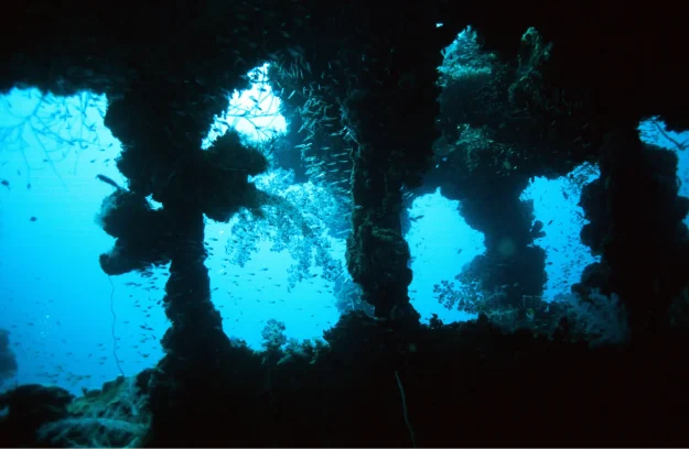 hoyomaru hoyo maru